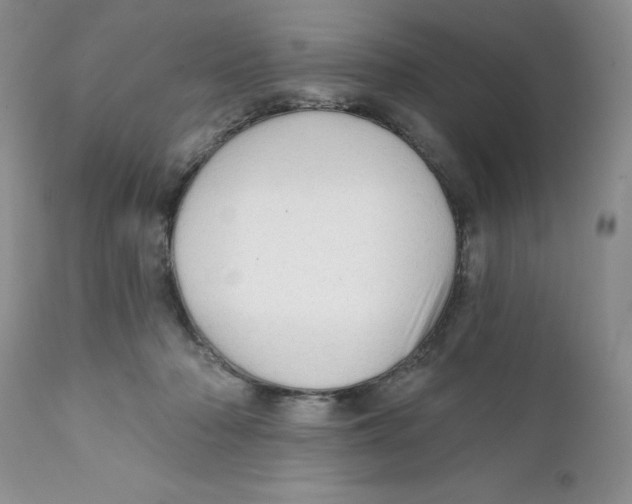 X0000111910318200908241033