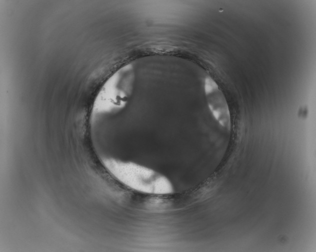 X0000111910319200908241033