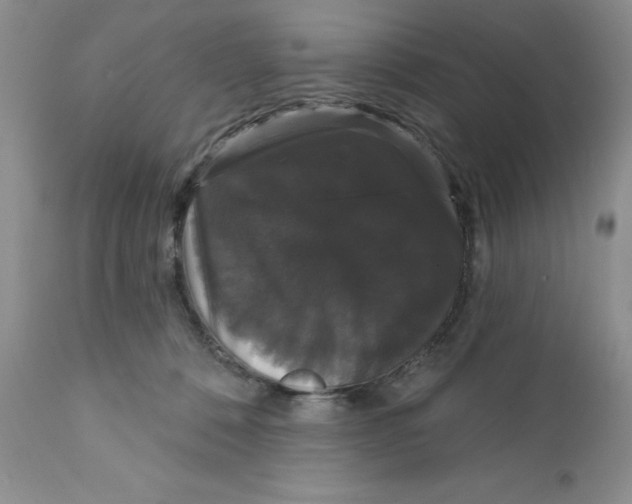 X0000111910320200908241033