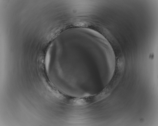 X0000111910322200908241033