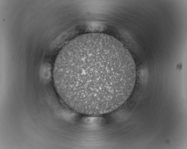 X0000111910323200908241033