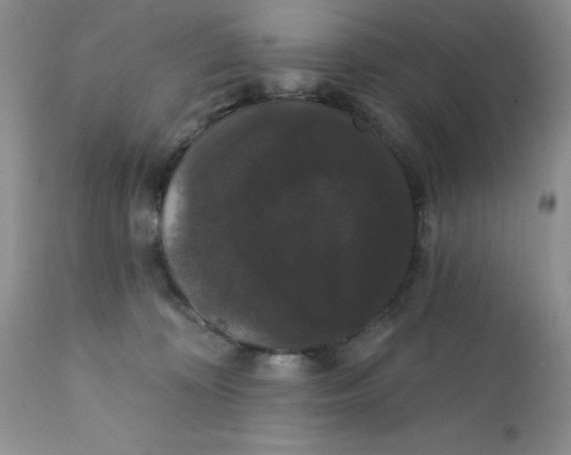 X0000111910324200908241033