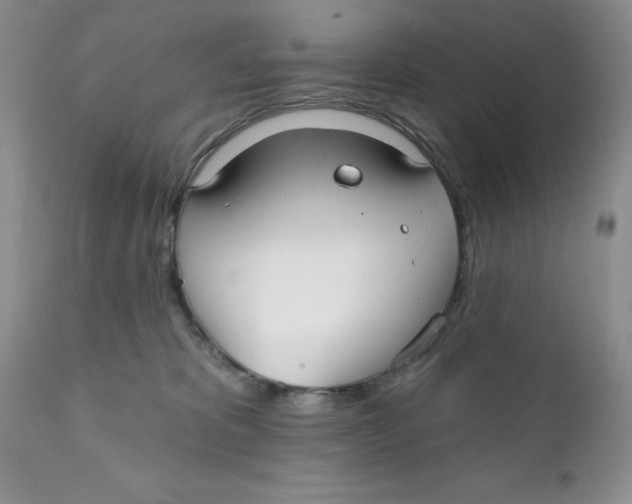 X0000111910325200908241033