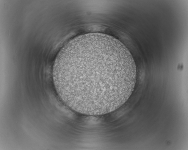 X0000111910326200908241033