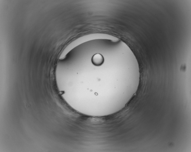 X0000111910327200908241033