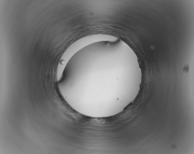 X0000111910328200908241033