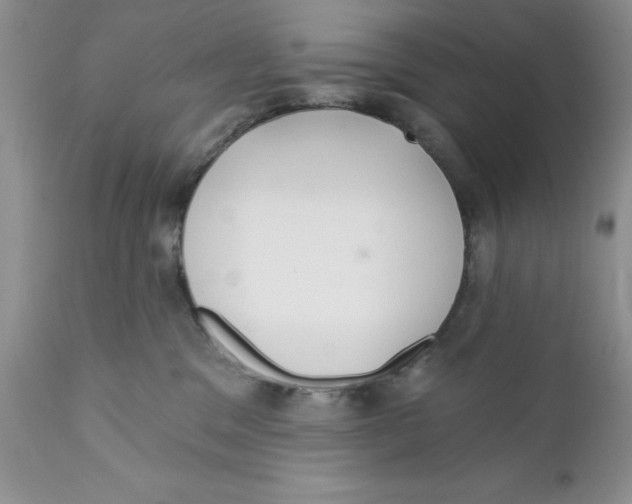 X0000111910329200908241033