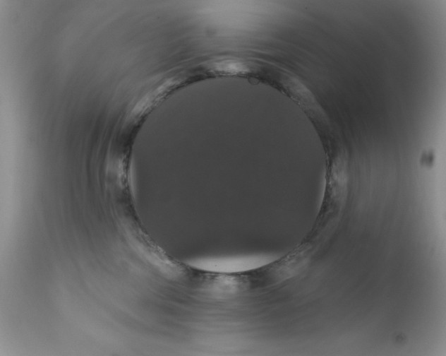 X0000111910330200908241033