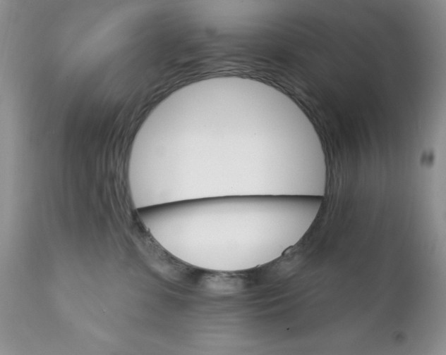 X0000111910331200908241033