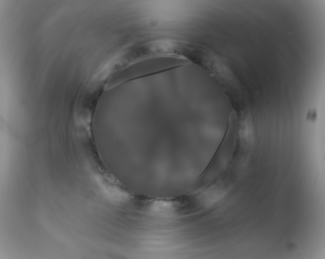 X0000111910332200908241032
