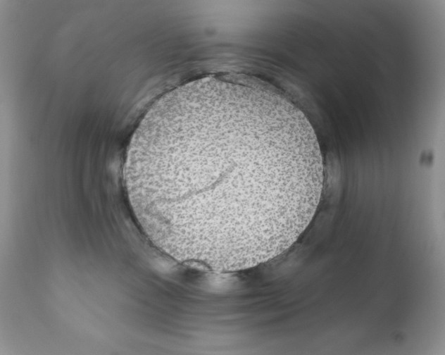 X0000111910333200908241032