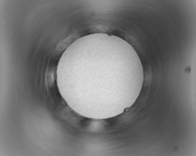 X0000111910334200908241032