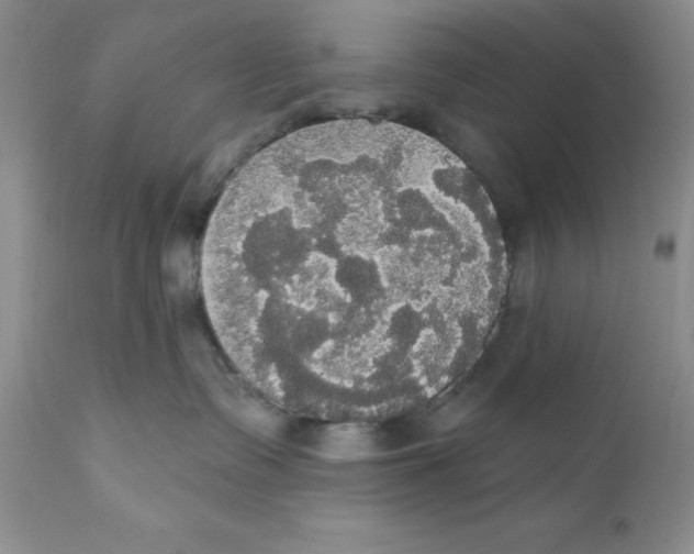 X0000111910335200908241032