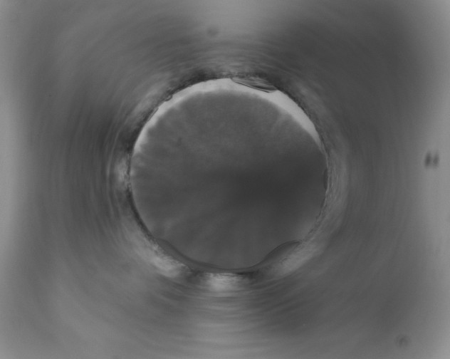 X0000111910336200908241032