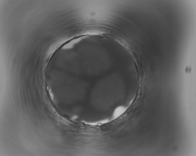 X0000111910337200908241032