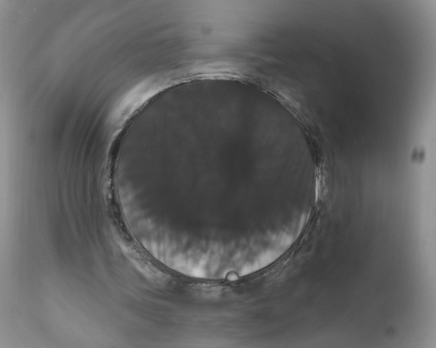 X0000111910339200908241032
