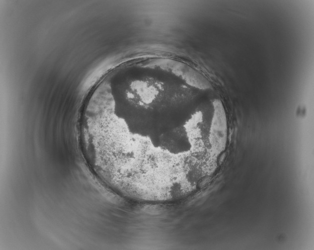 X0000111910341200908241032