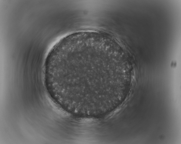 X0000111910342200908241032