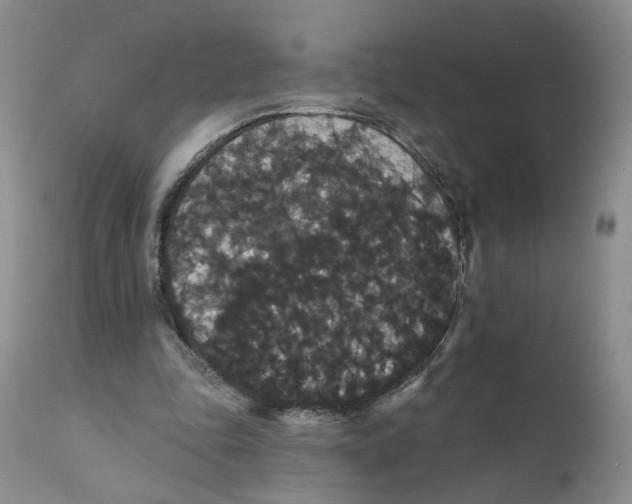 X0000111910343200908241032