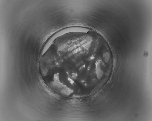 X0000111910345200908241032