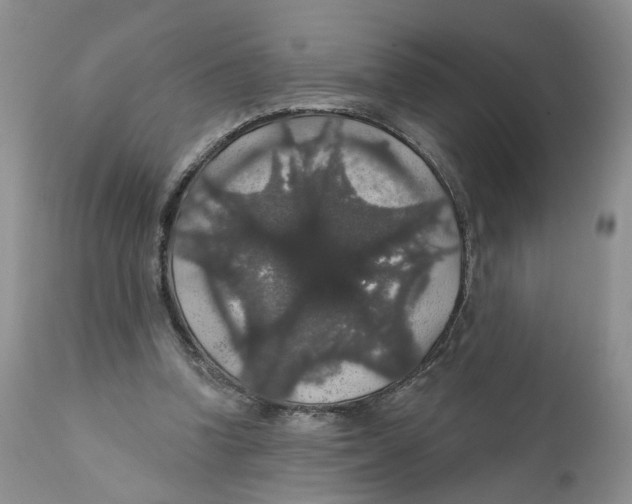 X0000111910346200908241032