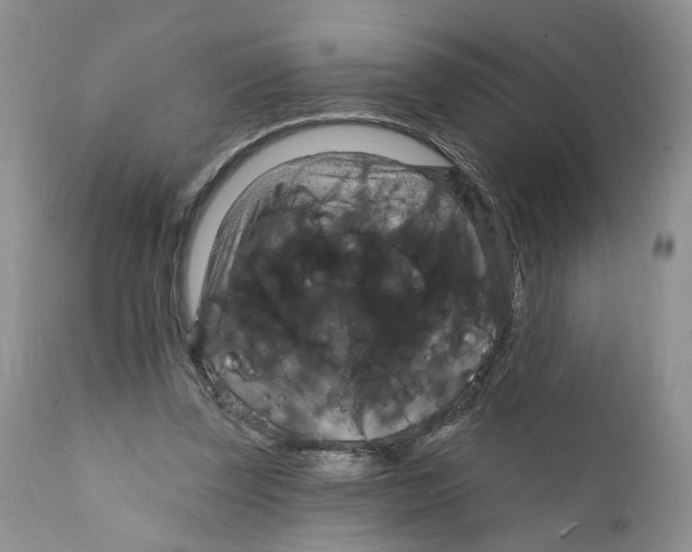 X0000111910347200908241032