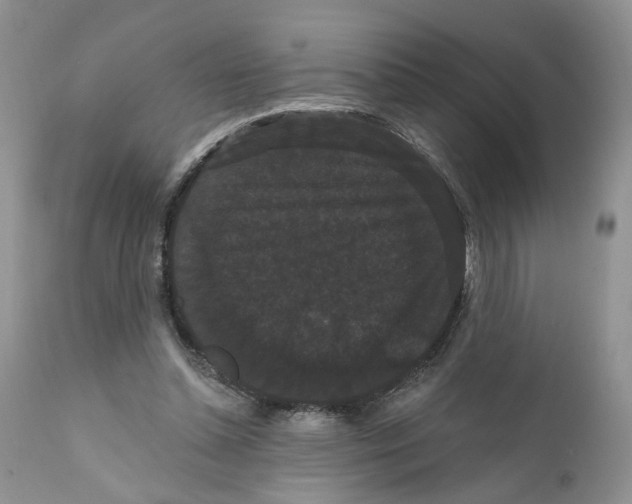 X0000111910348200908241032