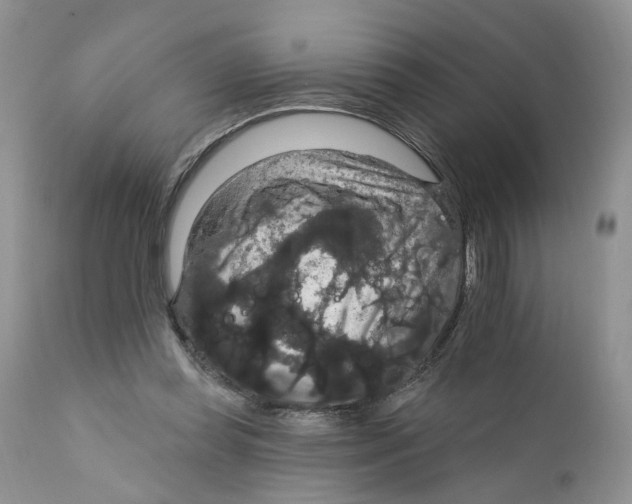 X0000111910349200908241032