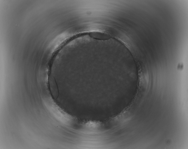 X0000111910350200908241032