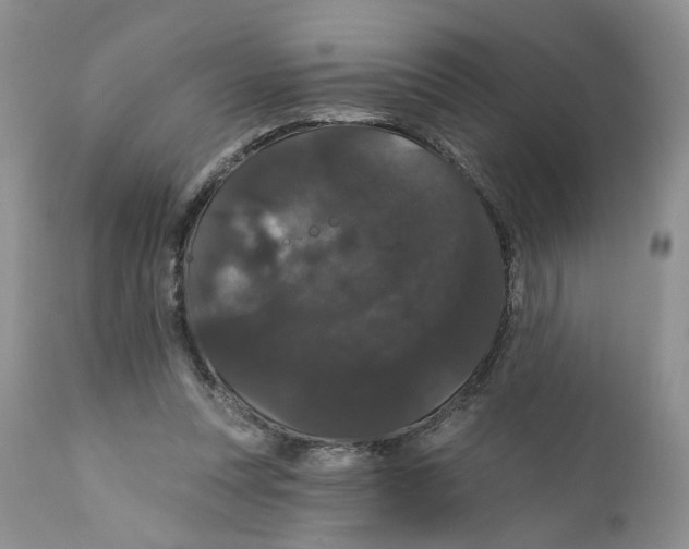 X0000111910351200908241032