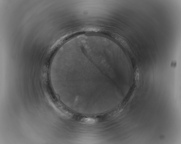 X0000111910352200908241032
