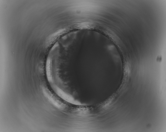 X0000111910353200908241032