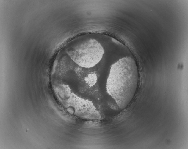 X0000111910354200908241032