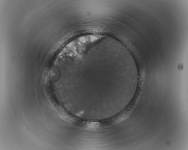 X0000111910355200908241032