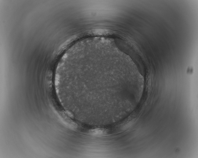 X0000111910356200908241032