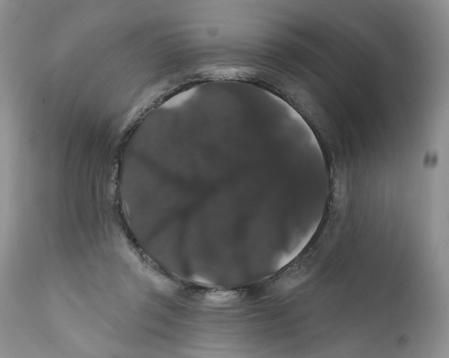 X0000111910357200908241032