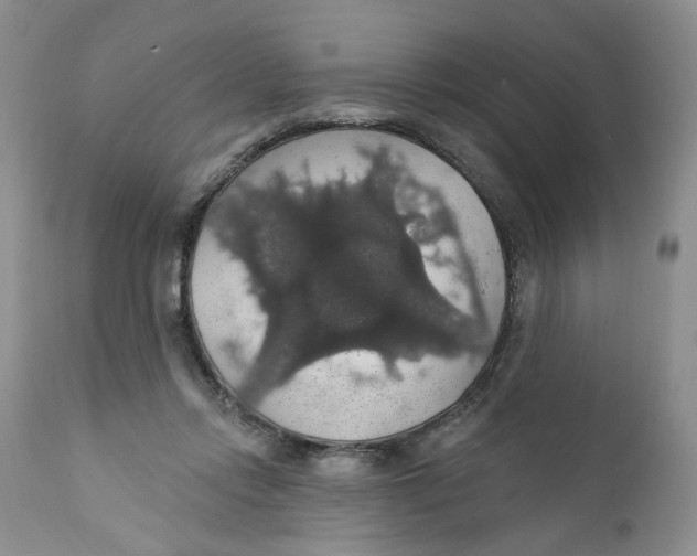 X0000111910358200908241032
