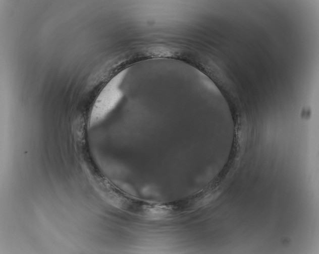X0000111910359200908241032