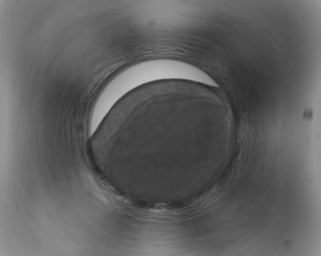 X0000111910360200908241032
