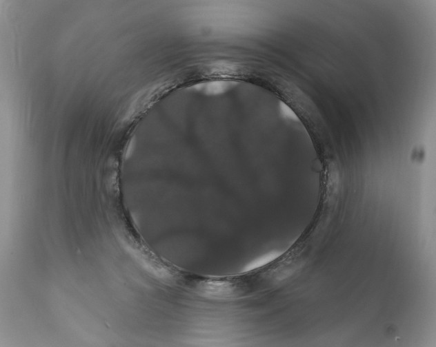 X0000111910361200908241032