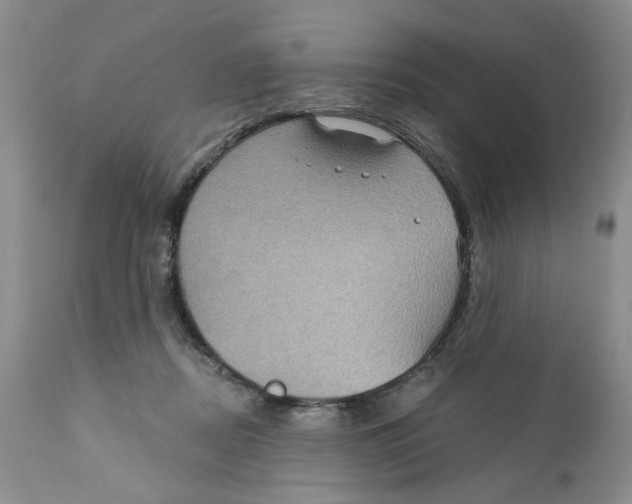 X0000111910362200908241032