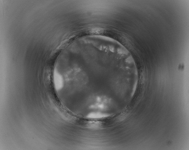 X0000111910363200908241032