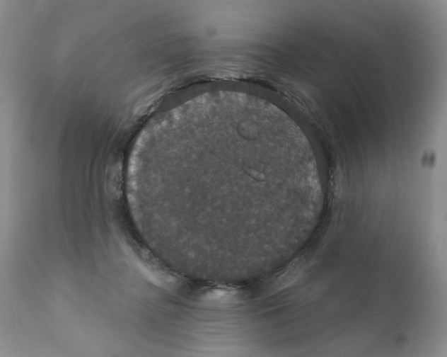 X0000111910364200908241032