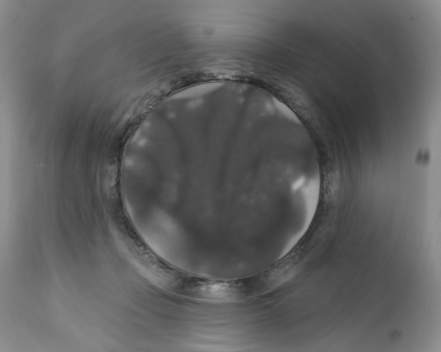 X0000111910365200908241032
