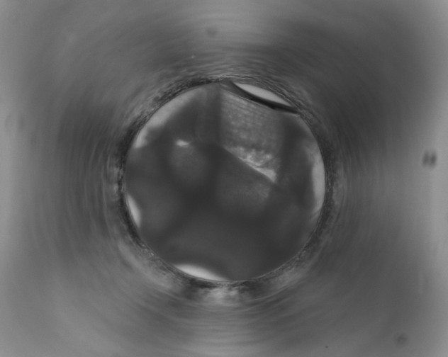 X0000111910366200908241032
