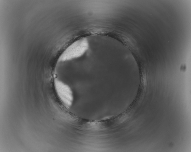 X0000111910367200908241032