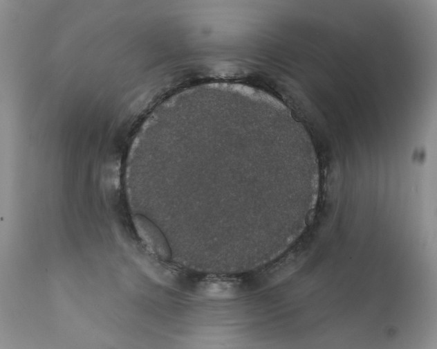 X0000111910368200908241032
