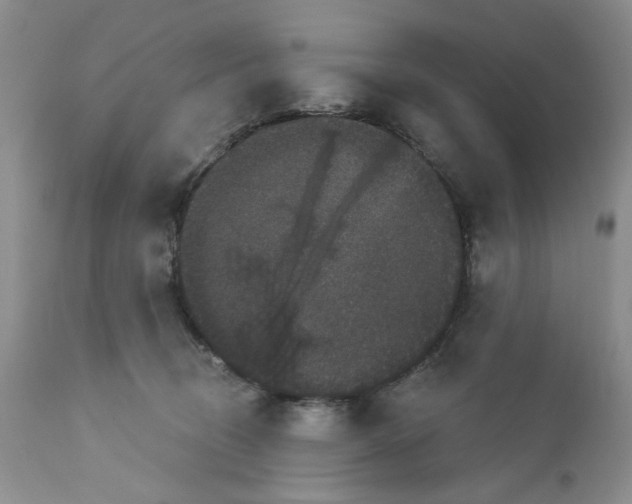 X0000111910370200908241032