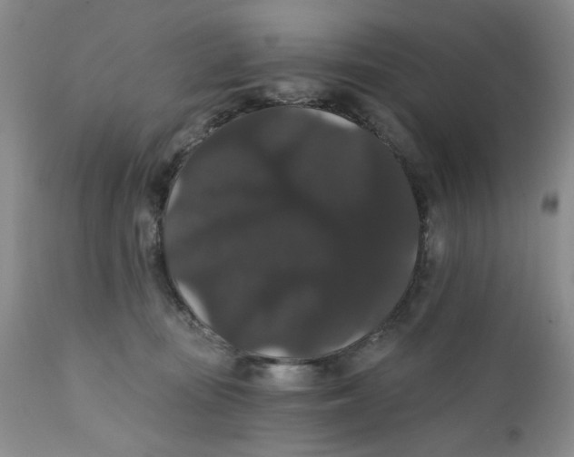 X0000111910371200908241032