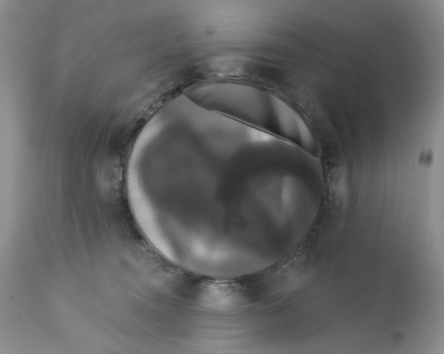 X0000111910372200908241032